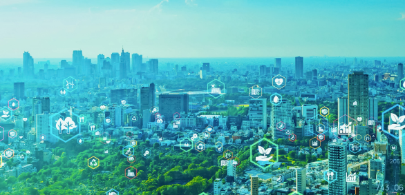 The State of Sustainability Reporting Regulation 2025
